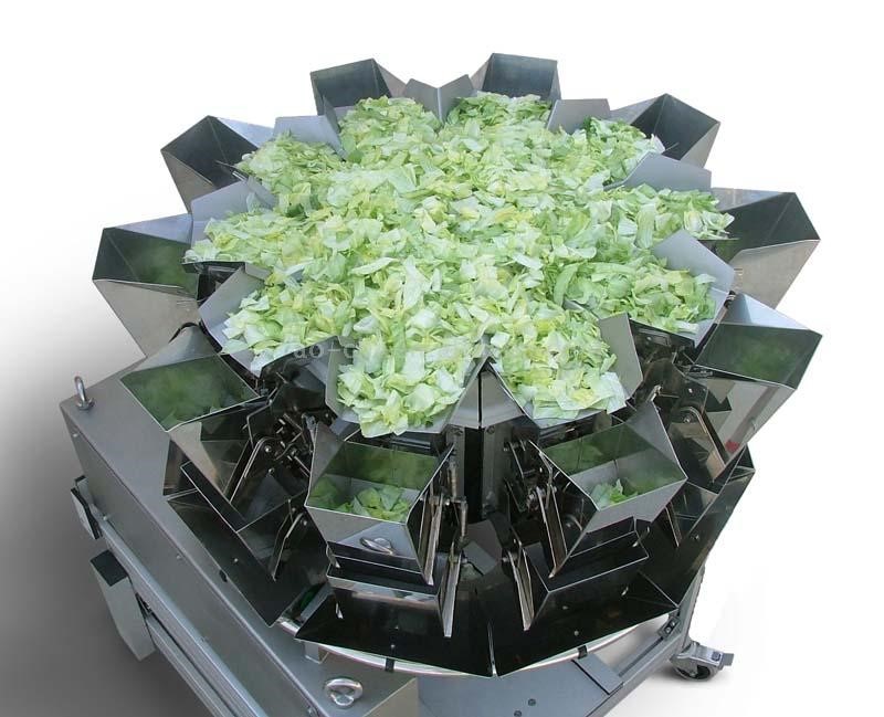 waga wieloglowicowa do swiezych produktow salata